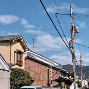 特大黑人巨交吊性XXXX张丽
